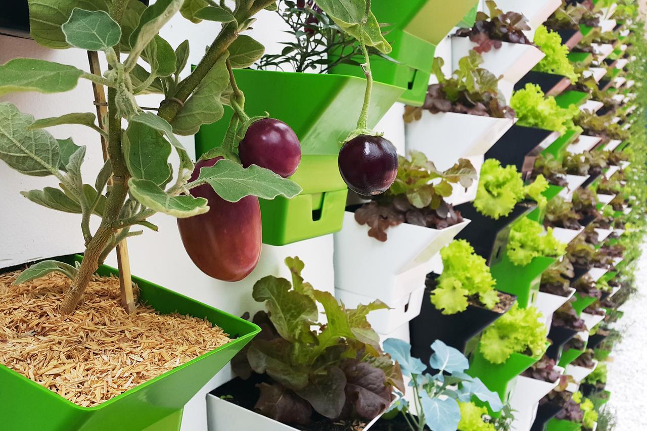 בוגוטה Biohotel Organic Suites מראה חיצוני תמונה